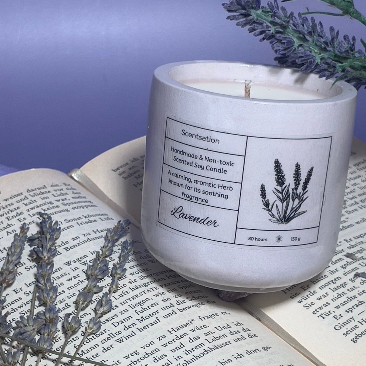 Lavender - Scentsation