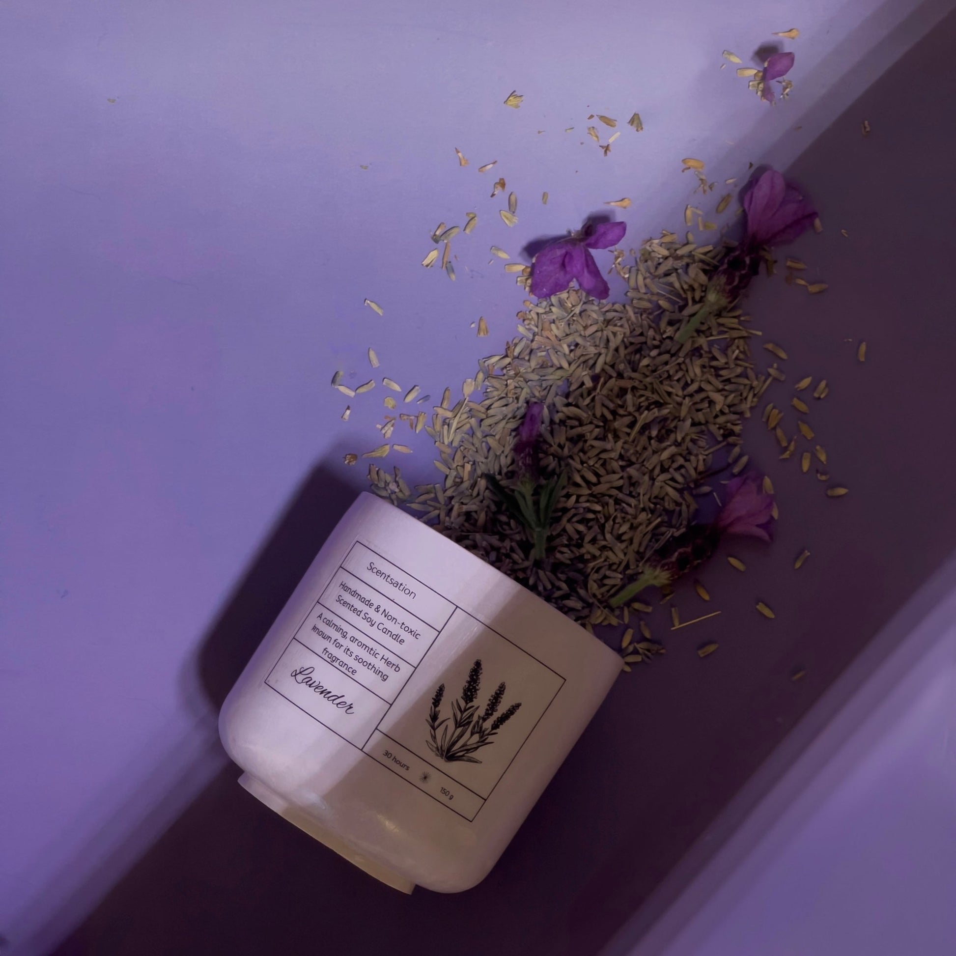 Lavender - Scentsation