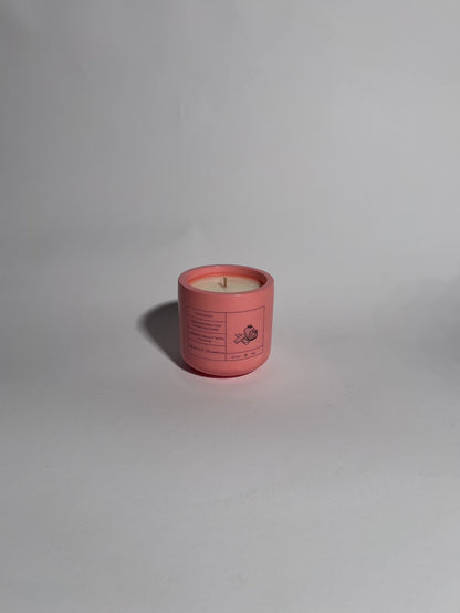 Rhubarb & Strawberry - Scentsation